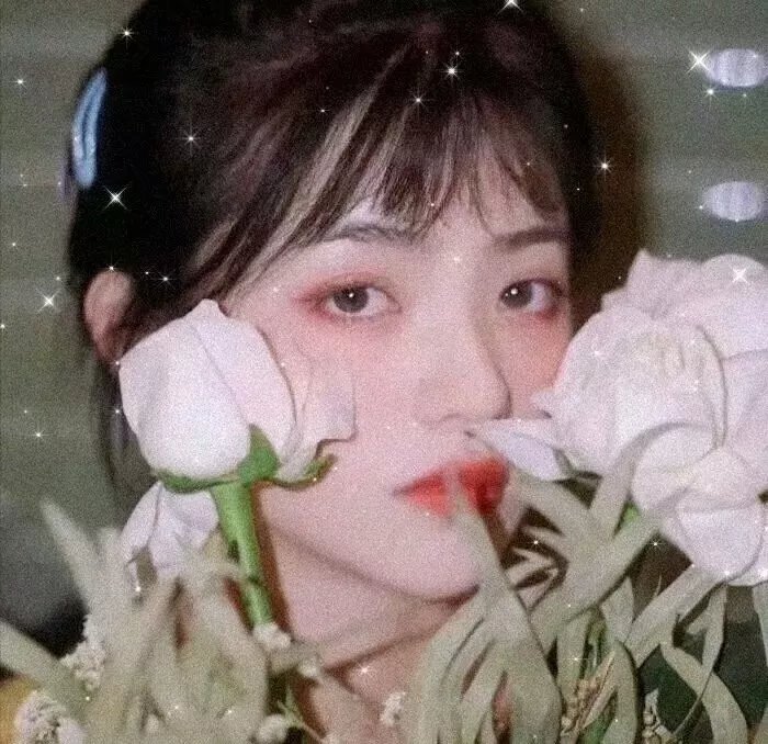 女人们的奇迹海报
