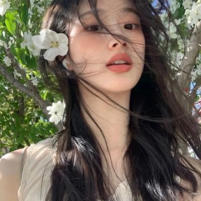 菜鸟总动员海报